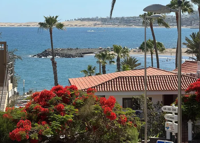 Casa Dunaflor * מספאלומס