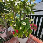 Casa Dunaflor Casa de Férias Maspalomas (Gran Canaria)
